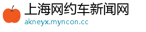 上海网约车新闻网